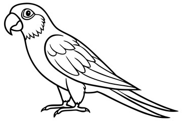 Minimalist Macaw Sketch