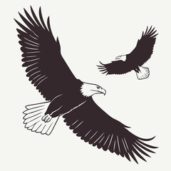 Obraz premium eagle vector illustration
