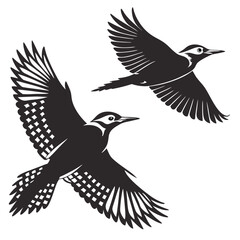 Obraz premium Flying woodpecker bird silhouette black and white vector illustration graphic design