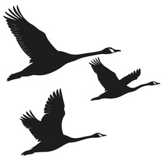 Obraz premium Geese in flight black and white vector illustration wild birds silhouette