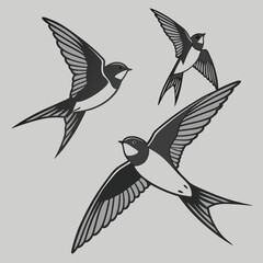 Obraz premium Stylized swallow birds flock vintage tattoo style design vector illustration