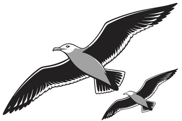 Two seagulls flying vector illustration black and white minimalist design