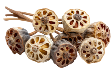Intricate Lotus Pods: A close-up, detailed view showcases a cluster of dried lotus seed pods, revealing their mesmerizing natural beauty and complex internal structure.