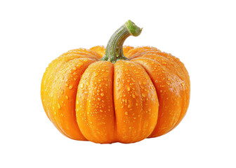 Fresh Wet Orange Pumpkin with Raindrops on Bright Background for Autumn and Halloween Themes