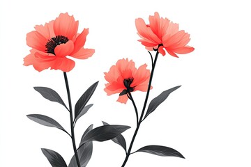 Coral flowers with gray-green leaves on white