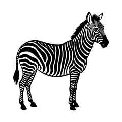 Download Zebra And  Silhouette Vector Illustration  Svg File For Design.