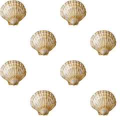Seamless pattern with watercolor seashells. Digital paper.
