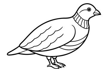 Minimalist Quail Vector