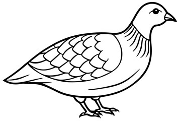 Minimalist Quail Vector