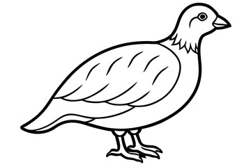 Minimalist Quail Vector