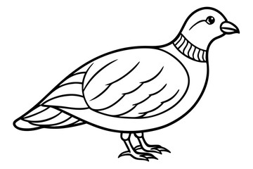 Minimalist Quail Vector