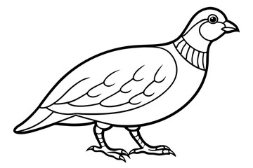 Minimalist Quail Vector