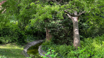 Narrow Stream Flowing Through Lush Green Forest. Foliage of trees park path with winding water stream, Vienna City Park (Stadtpark Wien).