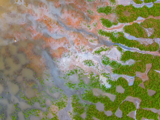 Emission of pollution by sewage from the city fall into the pond with green grass,Water pollution,...