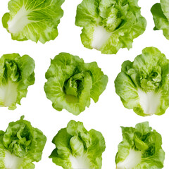 "Fresh Green Lettuce with Water Drops – High-Resolution .  
 salad ingredient photo, fresh lettuce macro, wet lettuce leaf, leafy green vegetable, organic lettuce texture, dewy lettuce leaves, premiu
