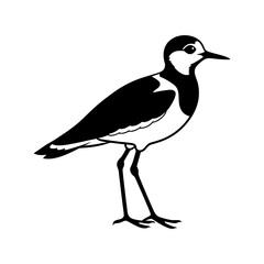 Download Lapwing Birds  Silhouette Vector Illustration White Background Svg File For Design.