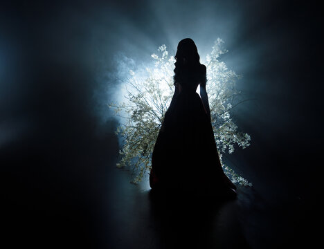 art photo real person fantasy girl princess black shadow silhouette walking in saint divine moon light ray in night dark spring forest fog tree white flowers tree. sexy goddess fairy elf woman ghost