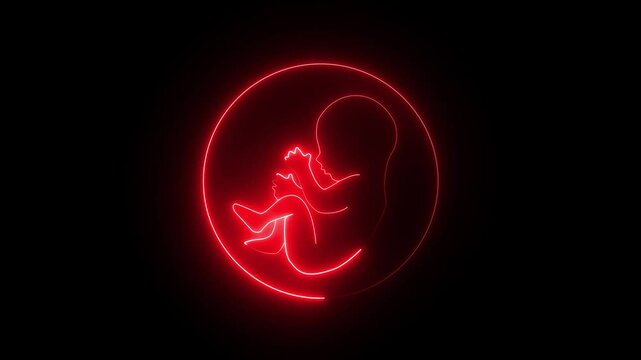 Human embryonic and frontal development. glowing neon human fetus inside the womb. human embryonic stem cells.