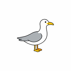 Obraz premium seagull isolated on white