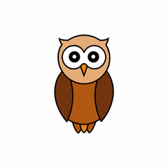 owl on white background