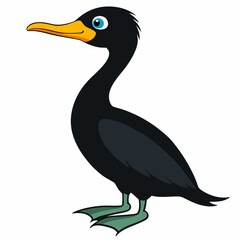 black crowned night heron