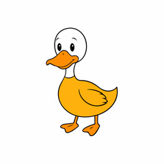 yellow duck isolated on white