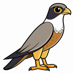 eagle cartoon isolated on white