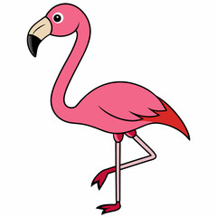 pink flamingo vector