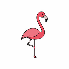 flamingo on white