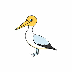 white stork isolated on white background