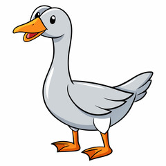 duck isolated on white