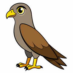 bird of prey