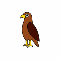 bird of prey