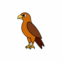 bird of prey