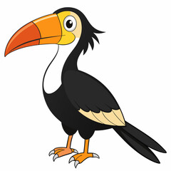 toucan isolated on white background
