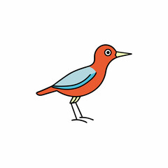 robin on a branch