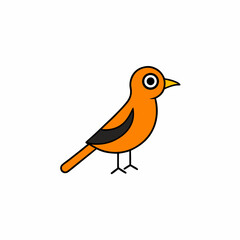 robin on a branch