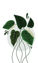 Lush Green Leaves Background: A Symphony of Nature's Beauty and Serenity