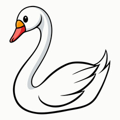 black swan vector illustration