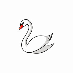 black swan vector illustration
