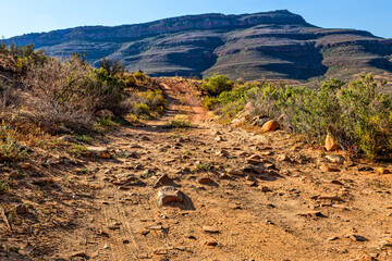 Rough off road track leading into mountains
