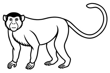 Modern Proboscis Monkey Sketch