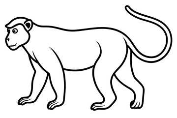 Modern Proboscis Monkey Sketch