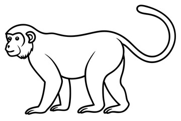 Modern Proboscis Monkey Sketch