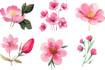 set of pink flowers