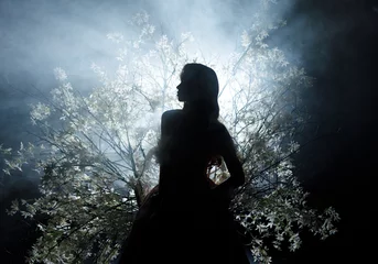 shadow dark silhouette fantasy queen woman sitting on throne spring flowering nature divine moon light ray black night garden glow, fog tree branch flowers. Mystery sexy Gothic Girl magic smoke mist.