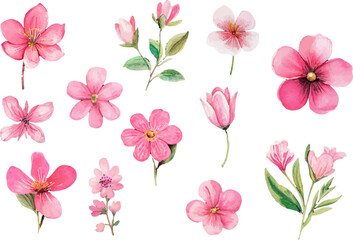 seamless pattern with pink flowers