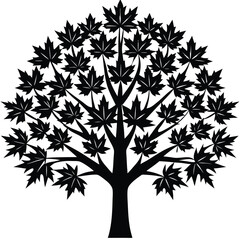 Black Silhouette of a Full Maple Tree