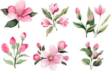 bouquet of pink roses