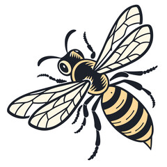 Detailed Illustration of a Honeybee in Flight